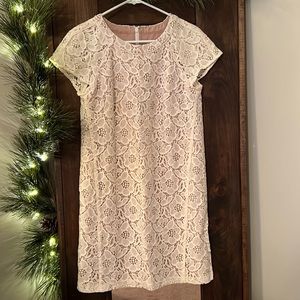 Loft Lace dress